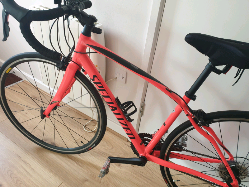 specialized dolce sport 2019